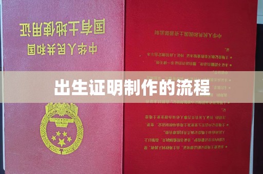通山出生证明制作的流程